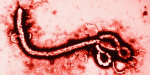 ebola_blood_registry_1014